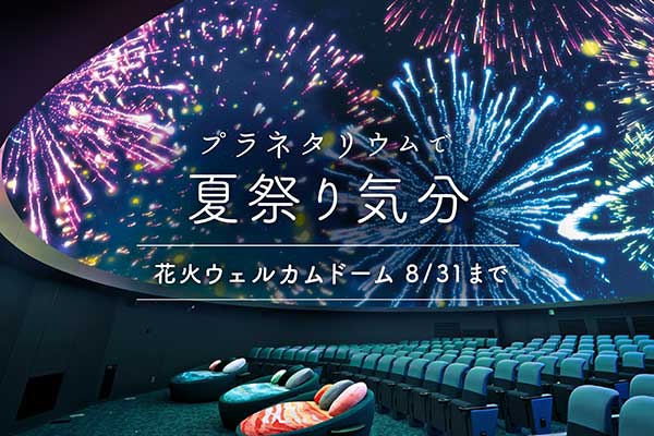 花火ウェルカムドーム