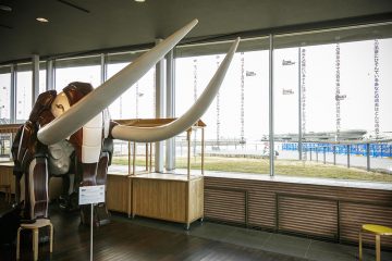 象の鼻テラス1