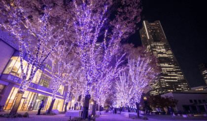 全長約1.5km！約50万球のLEDライトが街全体を彩る横浜最大級のイルミネーションを堪能の画像