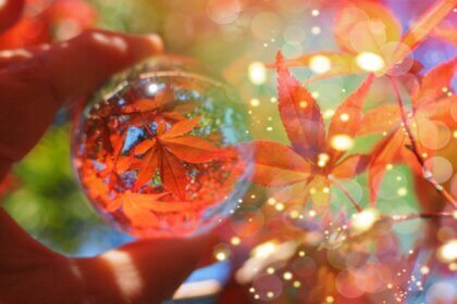 秋のイベント🍁お出かけ特集の画像