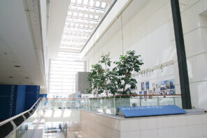 みなとみらいギャラリー 11月展示内容の画像