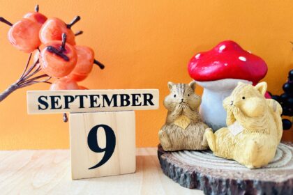 ９月のイベント・お出かけ特集の画像