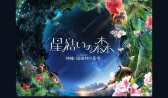『星結いの森-沖縄・国頭村の星空-』上映終了目前！　2/7(土)-8(日)特別イベント開催！の画像