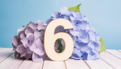 6月のイベント・お出かけ特集の画像