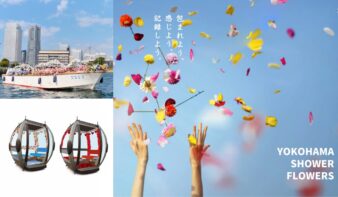 「花の港」特別企画を11/1(土)より開催🏵️ 船とロープウェイを彩る花のインスタレーションなどの画像