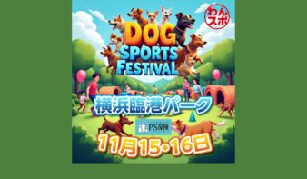 愛犬と一緒に挑戦!横浜・臨港パークで「DOG SPORTS FESTIVAL(わんスポ)」11/15(土)•16(日)に開催🐾の画像