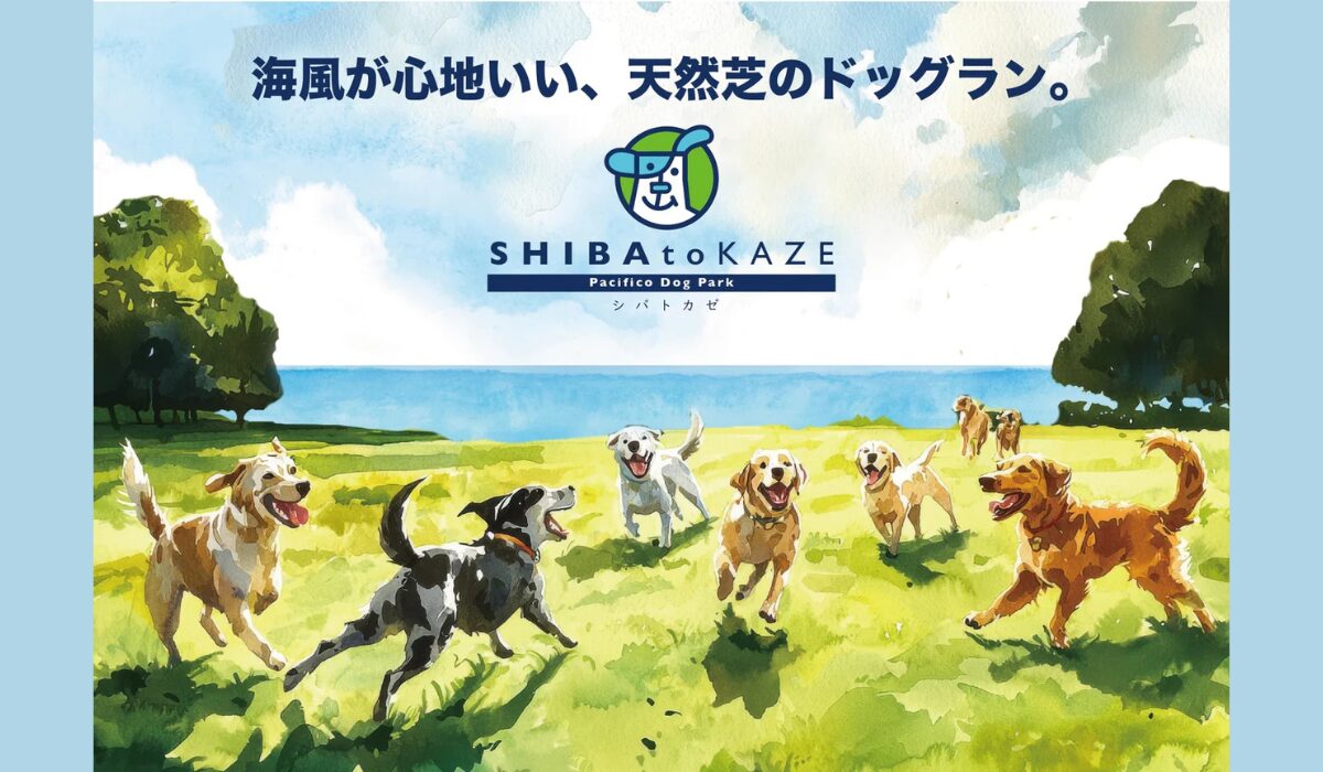 海風が心地いい、天然芝のドッグラン「SHIBA to KAZE Pacifico Dog Park」3/20(金祝)-22(日)限定でオープン