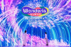 「ワンダリア横浜」入場チケット付き宿泊プランが登場の画像