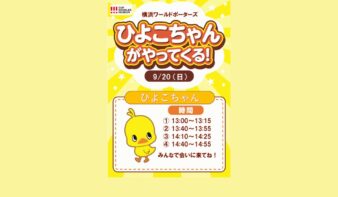 カップヌードルミュージアム 横浜からひよこちゃんがやってくる！の画像